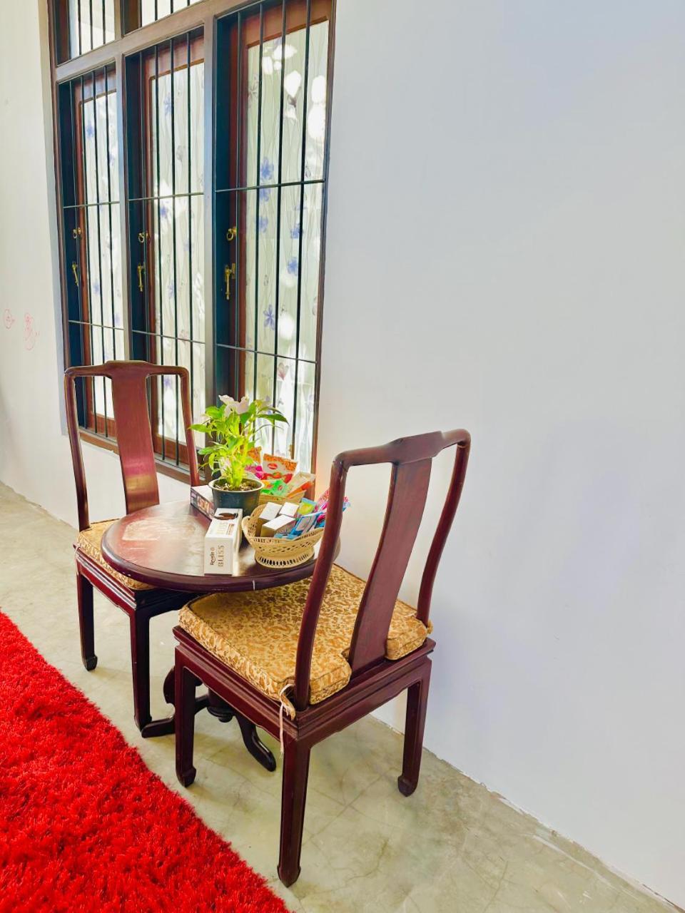 Sea Breeze Guest House Negombo Extérieur photo